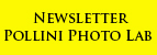 Newsletter Pollini Photo Laboratory