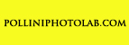 polliniphotolab