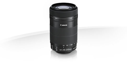 Canon EF-S 55-250mm f/4-5,6 IS STM