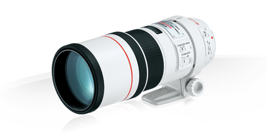 Canon EF 300mm f/4 IS USM