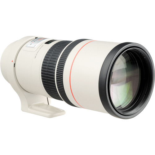  Canon EF 300mm f/4L IS USM 