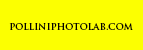 PolliniPhotoLab