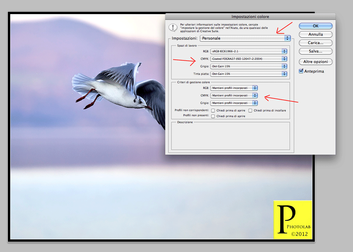 Impostazioni del colore in photoshop cs4