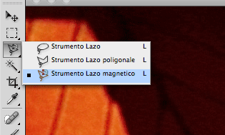 Lo strumento lazo in photoshop cs4