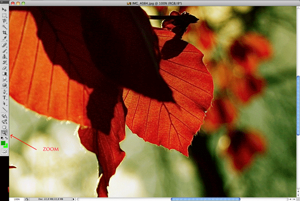 Lo strumento zoom in photoshop cs4