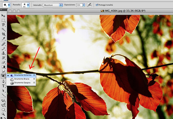 Lo strumento scherma in photoshop CS4