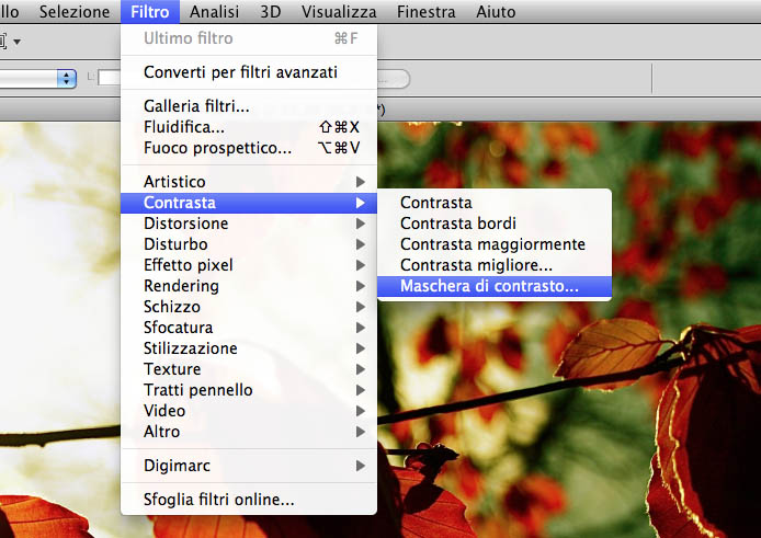 Menù per la maschera di contrasto in Photoshop CS4