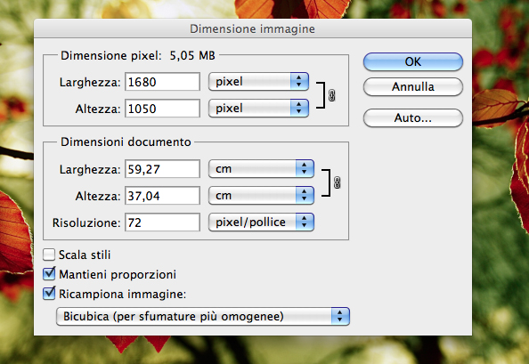 Dimensione di una immagiene photoshop