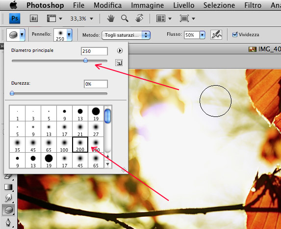 Regolazione pennello per lo strumento spugna in photoshop cs4