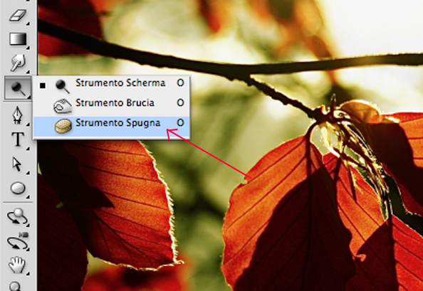 Strumento spugna in photoshop cs4