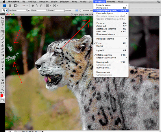 Colori fuori gamma in photoshop cs4