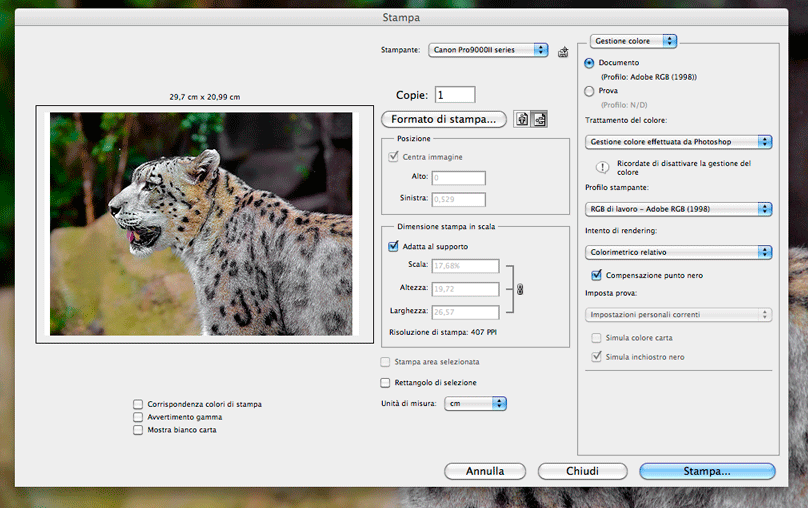 Finestra stampa di photoshop cs4
