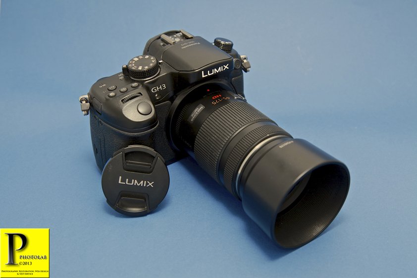 Lumix GH3