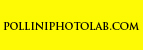 Polliniphotolab