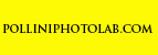 polliniphotolab.com