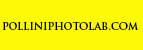 polliniphotolab.com