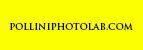 polliniphotolab