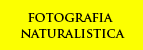 Curiosità fotografiche