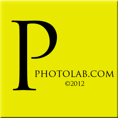 PolliniPhotoLab logo
