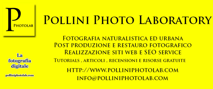 Banner pop polliniphotolab
