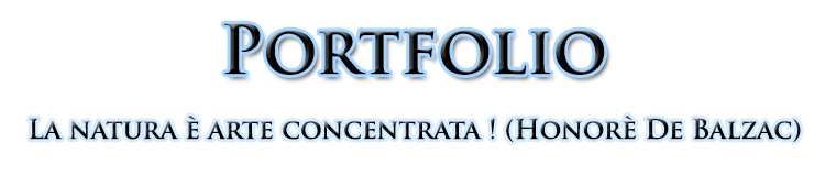 Portfolio del fotografo Marco Pollini