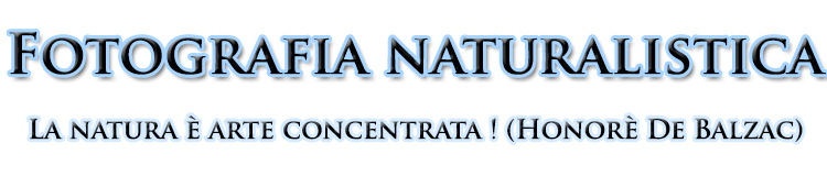 naturalsitca3