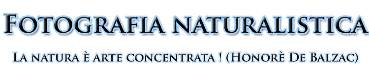 naturalistica2