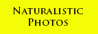 fotografia naturalistica