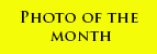 La foto del mese