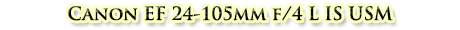 Canon EF 24-105mm f/4 L IS USM
