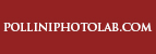 polliniphotolab.com