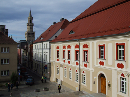 Muzeum