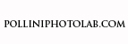 polliniphotolab