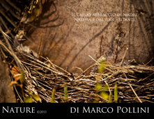 Nature di Marco Pollini