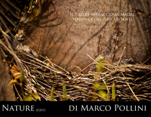 Nature di Marco Pollini